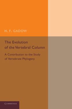 The Evolution of the Vertebral Column The Evolution of the Vertebral Column