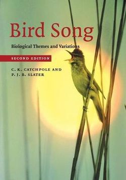 Bird Song Bird Song