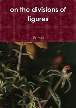 On the Divisions of Figures On the Divisions of Figures