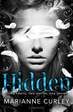 Hidden Hidden