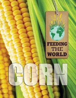 Corn Corn