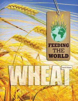 Wheat Wheat
