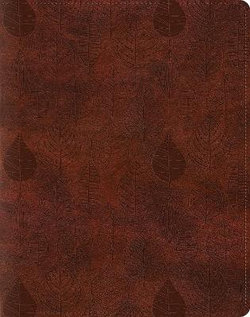 ESV Single Column Journaling Bible ESV Single Column Journaling Bible