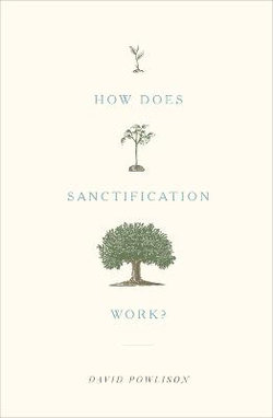 How Does Sanctification Work? How Does Sanctification Work?