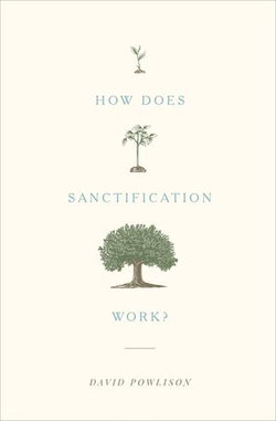 How Does Sanctification Work? How Does Sanctification Work?
