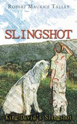 Slingshot Slingshot