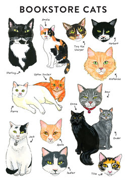 Bibliophile Flexi Journal: Bookstore Cats Bibliophile Flexi Journal: Bookstore Cats