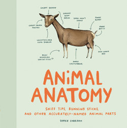 Animal Anatomy Animal Anatomy