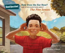 How Does the Ear Hear? How Does the Ear Hear?