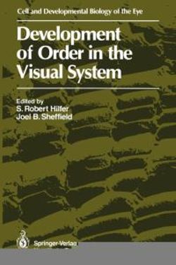 Development of Order in the Visual System Development of Order in the Visual System