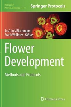 Flower Development Flower Development