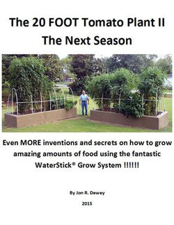 The 20 Foot Tomato Plant II The Next Season The 20 Foot Tomato Plant II The Next Season