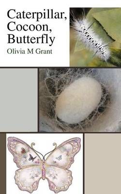 Caterpillar, Cocoon, Butterfly Caterpillar, Cocoon, Butterfly