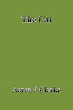The Cat The Cat