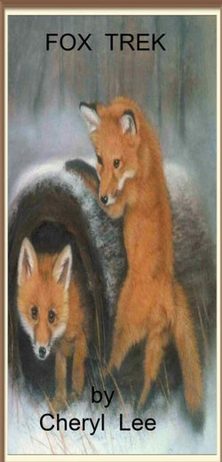 Fox Trek Fox Trek