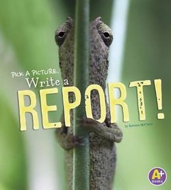 A Report A Report