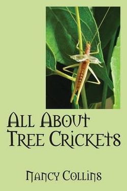 All about Tree Crickets All about Tree Crickets