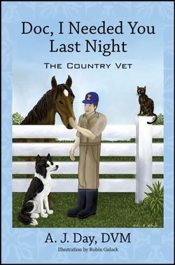 Doc, I Needed You Last Night Doc, I Needed You Last Night