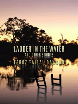 Ladder in the Water and Other Stories Ladder in the Water and Other Stories