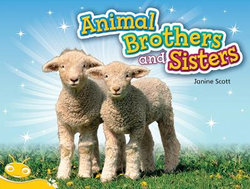 Bug Club Level 6 - Yellow: Animal Brothers and Sisters (Reading Level 6/F&P Level D) Bug Club Level 6 - Yellow: Animal Brothers and Sisters (Reading Level 6/F&P Level D)