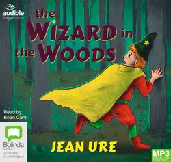 The Wizard in the Woods The Wizard in the Woods