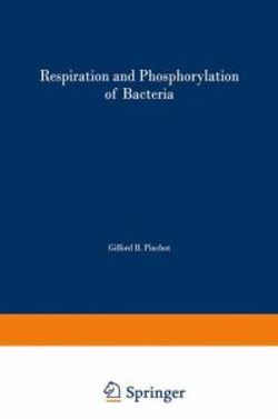 Respiration and Phosphorylation of Bacteria Respiration and Phosphorylation of Bacteria