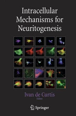 Intracellular Mechanisms for Neuritogenesis Intracellular Mechanisms for Neuritogenesis