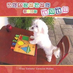 Learning with Lulu Learning with Lulu