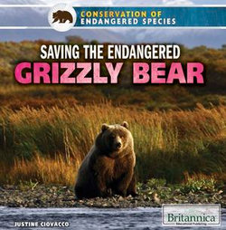Saving the Endangered Grizzly Bear Saving the Endangered Grizzly Bear