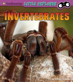 Invertebrates: a 4D Book (Little Zoologist) Invertebrates: a 4D Book (Little Zoologist)