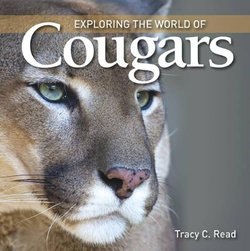 Exploring the World of Cougars Exploring the World of Cougars