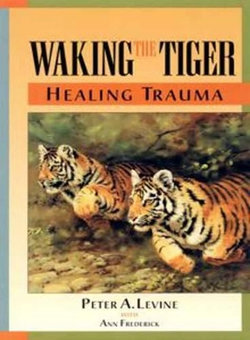 Waking The Tiger Waking The Tiger