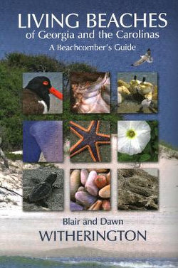 Living Beaches of Georgia and the Carolinas Living Beaches of Georgia and the Carolinas