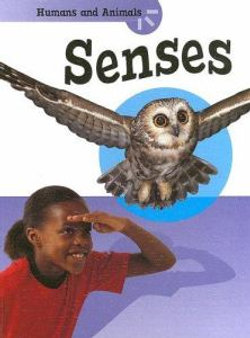 Senses Senses