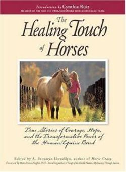 The Healing Touch of Horses The Healing Touch of Horses