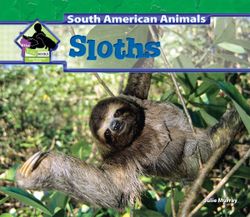 Sloths Sloths