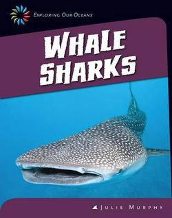 Whale Sharks Whale Sharks