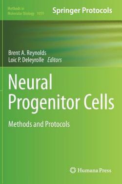 Neural Progenitor Cells Neural Progenitor Cells