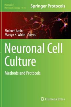Neuronal Cell Culture Neuronal Cell Culture