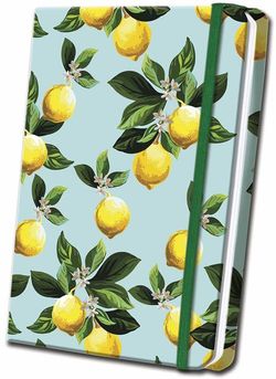 Citrus Satin Journal Citrus Satin Journal