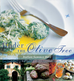 Under the Olive Tree Under the Olive Tree