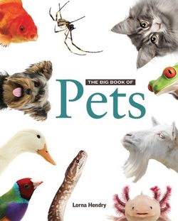 Big Book of Pets Big Book of Pets