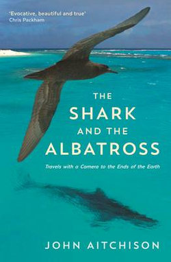 The Shark and the Albatross The Shark and the Albatross