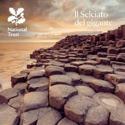 Giant's Causeway - Italian Giant's Causeway - Italian