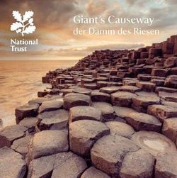Giant's Causeway - German Giant's Causeway - German