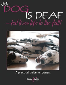 My Dog is Deaf - but Lives Life to the Full My Dog is Deaf - but Lives Life to the Full