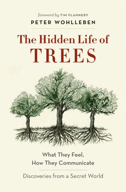 The Hidden Life of Trees The Hidden Life of Trees