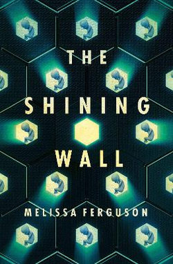 The Shining Wall The Shining Wall