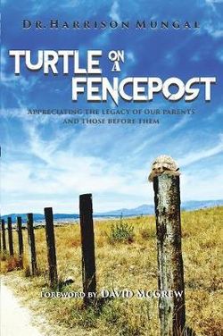 Turtle on a Fence Post Turtle on a Fence Post
