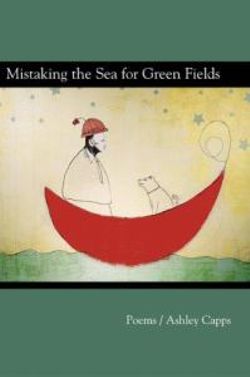 Mistaking the Seas for Green Fields Mistaking the Seas for Green Fields